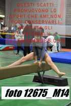 12675_M14-