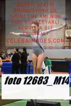 12683_M14-