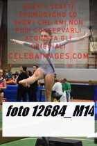 12684_M14-