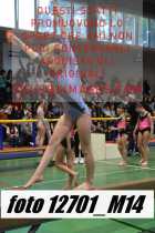 12701_M14-