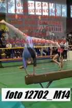 12702_M14-