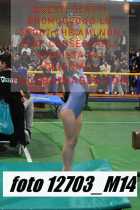 12703_M14-