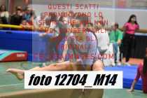 12704_M14-