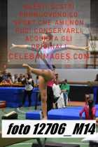 12706_M14-