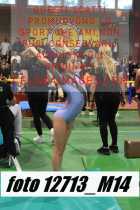 12713_M14-