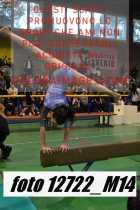 12722_M14-