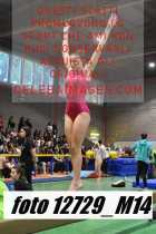 12729_M14-