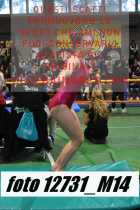 12731_M14-