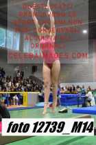 12739_M14-