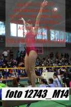 12743_M14-