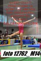 12762_M14-
