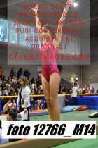 12766_M14-