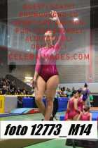 12773_M14-