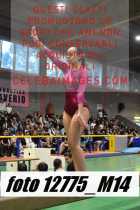 12775_M14-