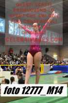 12777_M14-