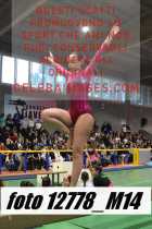 12778_M14-