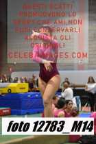 12783_M14-