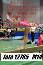 12785_M14-