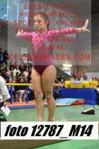12787_M14-