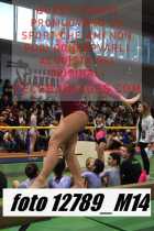 12789_M14-