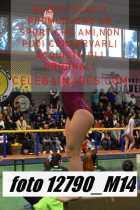 12790_M14-