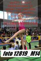 12819_M14-