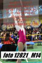 12821_M14-