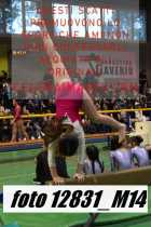 12831_M14-