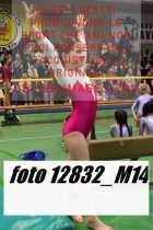 12832_M14-