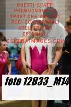 12833_M14-