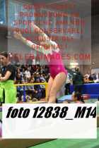 12838_M14-