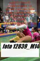 12839_M14-