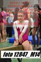 12847_M14-