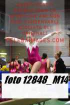 12848_M14-