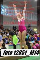 12851_M14-