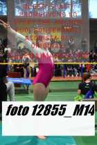 12855_M14-