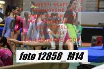 12858_M14-