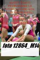 12864_M14-