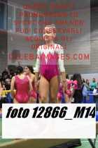 12866_M14-