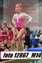 12867_M14-