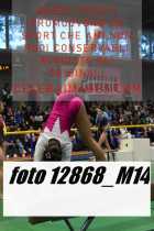 12868_M14-