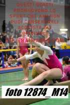 12874_M14-