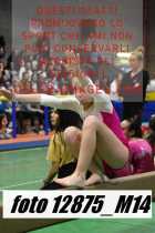 12875_M14-
