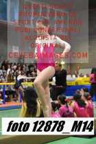 12878_M14-
