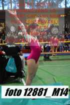 12881_M14-