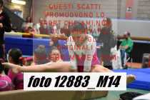 12883_M14-
