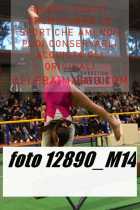 12890_M14-