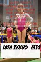 12895_M14-