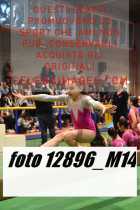 12896_M14-