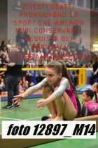 12897_M14-